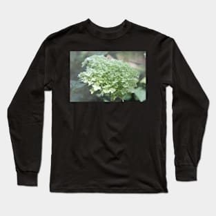 Hazy Hydrangea Long Sleeve T-Shirt